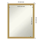 Miroir mural étroit Grace 50,8 cm x 66 cm sans biseau or brossé – Amanti Art : Miroir de courtoisie rectangulaire moderne, matériel de montage inclus