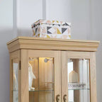Meuble d'exposition en verre éclairé Vatros, vitrine, armoire de rangement en verre