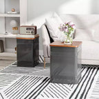 Ottoman avec rangement lot de 2, pouf gigogne industriel avec couvercle amovible, structure métallique pour salon