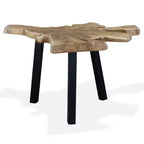 vidaXL Table Basse Teck Véritable 31,4x27,5x14,9