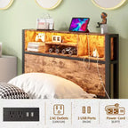 Cadre de lit double en métal Bellemave avec tête de lit de rangement, lumières LED RGB, station de recharge, bibliothèque de rangement, pas de sommier tapissier
