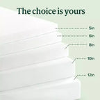 Matelas en mousse à mémoire de forme Zinus 15 cm Queen Size au thé vert, sans fibre de verre, fermeté moyenne, soulagement de la pression zoné, mousses et tissu certifiés sûrs