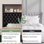 Lit capitonné en velours MAYEERTY Queen Size avec veilleuse port USB et tête de lit haute de 52 pouces avec décor de rivets et étagère de tête de lit pour chambre à coucher, noir