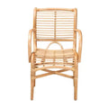bali & pari Seminyak Natural Rattan Lounge Chair Natural Brown: Indoor Wicker Accent, No Swivel