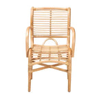 bali & pari Seminyak Natural Rattan Lounge Chair Natural Brown: Indoor Wicker Accent, No Swivel