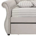 Lit Adkins double/grand lit en velours beige Acme Furniture