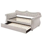 Lit Adkins double/grand lit en velours beige Acme Furniture