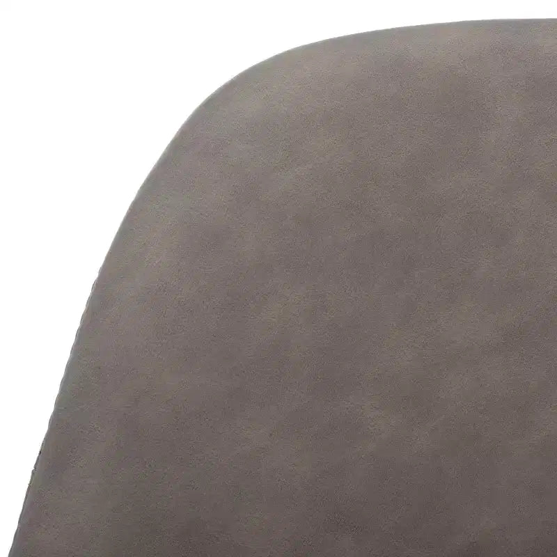 Chaise de salle à manger Tanner Mid-Century (Lot de 2) - DCH3001 - Safavieh