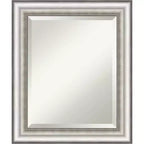 Salon Framed Bathroom Vanity Wall Mirror Silver - Amanti Art