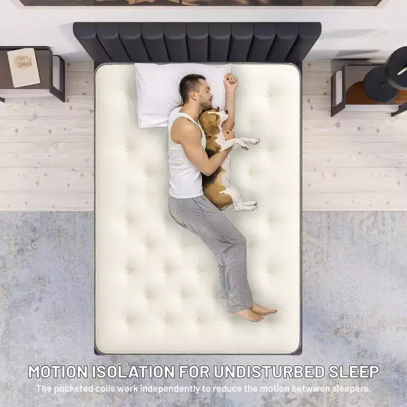Continental Sleep, matelas hybride simple face à plateau-coussin de 9 pouces à fermeté moyenne, compatible avec les lits réglables