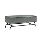 24/7 Shop At Home 42 Meadowgrove Modern 2 Drawer Coffee Table