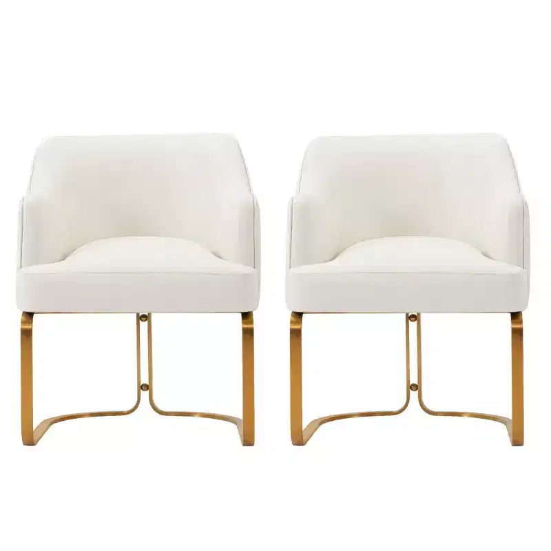 Manhattan Comfort Raya Lot de 2 Chaises de Salle à Manger Modernes Rembourrées en Similicuir