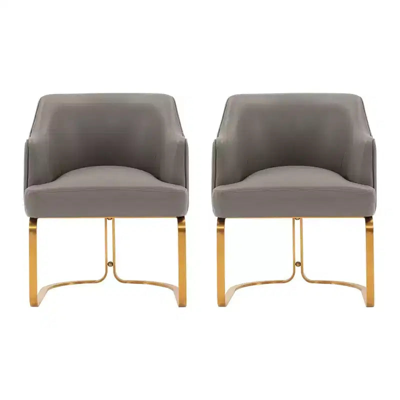 Manhattan Comfort Raya Lot de 2 Chaises de Salle à Manger Modernes Rembourrées en Similicuir