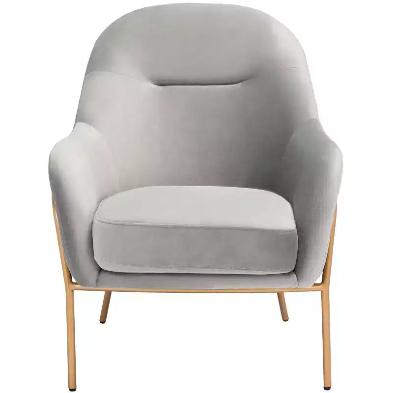 Fauteuil d'appoint en velours Eleazer - ACH6202 - Safavieh