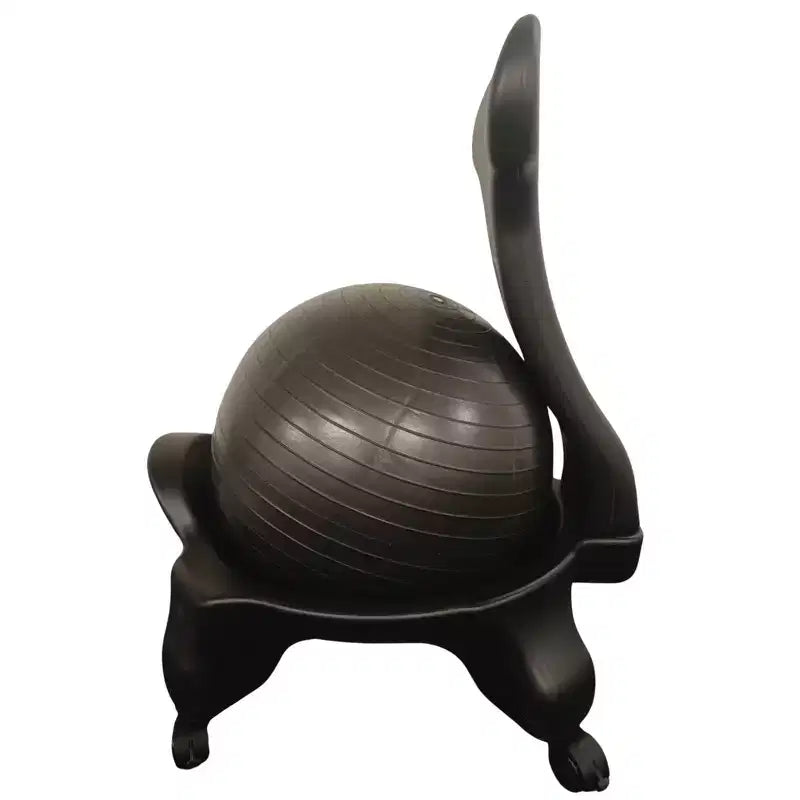Chaise ballon de stabilité Bintiva, Adulte, Noir/Noir