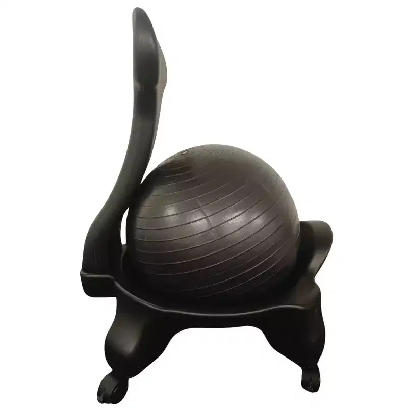Chaise ballon de stabilité Bintiva, Adulte, Noir/Noir