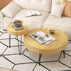 Costway Table Basse Ronde de Ferme, Ensemble de 2 Tables d'Appoint Finition Naturelle pour Salon Marron/Naturel
