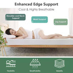 FDW Matelas 10 pouces en mousse à mémoire de forme au gel pour un sommeil frais et un soulagement de la pression/Matelas de fermeté moyenne CertiPUR-US/Matelas en boîte