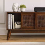 Meuble TV moderne en rotin pour téléviseur jusqu'à 65 pouces, meuble de rangement pour centre de divertissement avec porte coulissante, abstrait, marron, 150 cm, 1,5 m