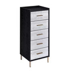 Armoire 17" Myles - Acme Furniture : Structure métallique, Rangement à bijoux 5 portes, Aucun assemblage requis
