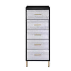 Armoire 17" Myles - Acme Furniture : Structure métallique, Rangement à bijoux 5 portes, Aucun assemblage requis