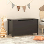 Coffre à jouets en bois pour enfants avec couvercle à charnière de sécurité, pour les 3 ans et plus