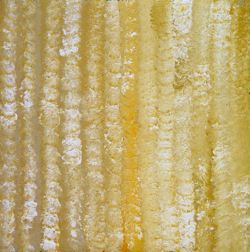 Peinture Goanna Dreaming yellow de Ruth Napaljarri Stewart - DZ Galerie
