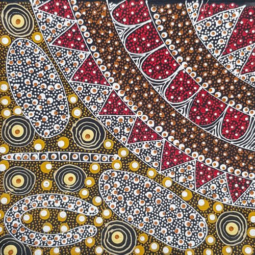 Peinture aborigène Bush Plum jaune de Tanya Bird Mpetyane - DZ Galerie