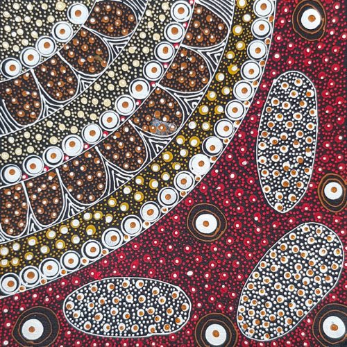 Peinture aborigène Bush Plum rouge de Tanya Bird Mpetyane - DZ Galerie